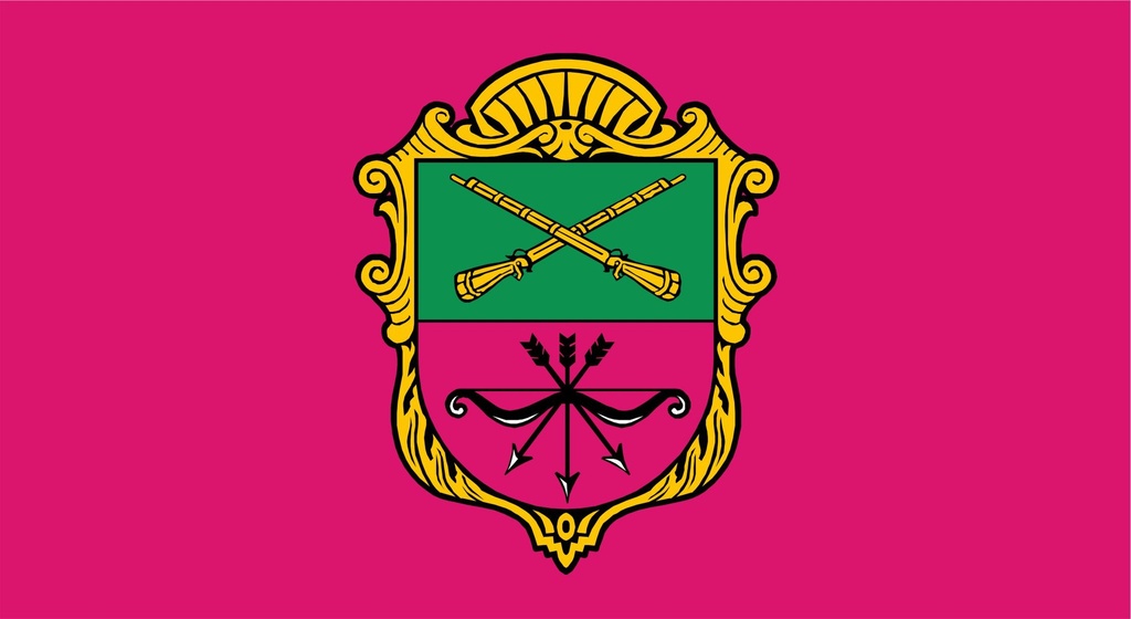 Флаг Запорожья атлас 70х105