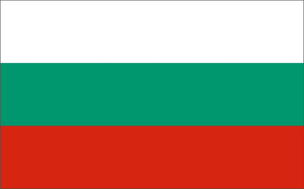 Флажок Болгарии болоний 12х24